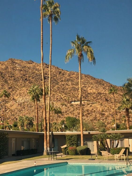 Desert Hills Hotel by Capurro + Davis Design, mid-century modern interior in the Palm Springs desert, view 16 of 18